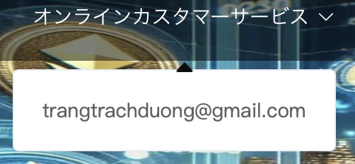 オンラインカスタマーサービス
